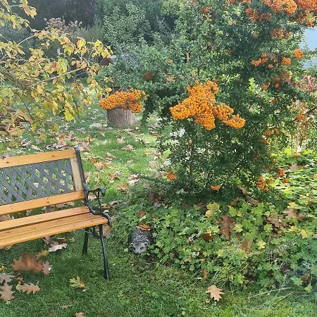 Διαμέρισμα Gemuetliche Gartenwohnung Ideal Mit Hund Βόλφσμπουργκ